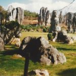 Stone Forest in Yunnan/Kunming, China